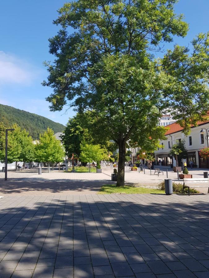 Appartamento Pikk Trenčianske Teplice Esterno foto