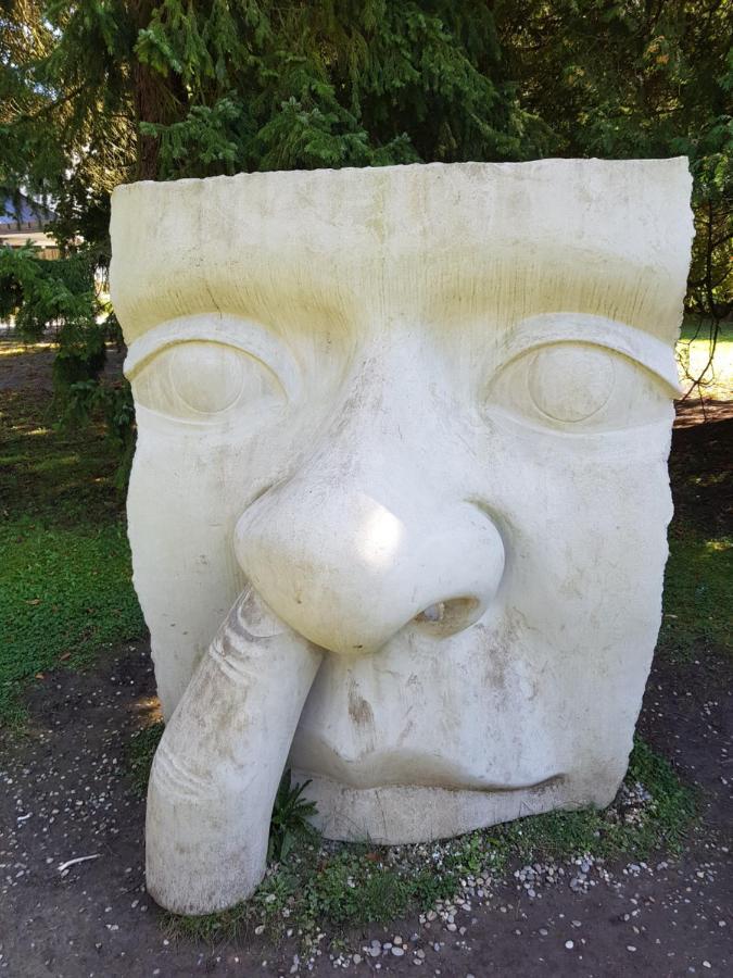 Appartamento Pikk Trenčianske Teplice Esterno foto